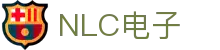 NLC电子数码集团